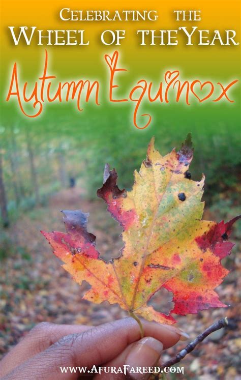 Embracing the Dark Season: Finding Beauty in the Autumn Equinox